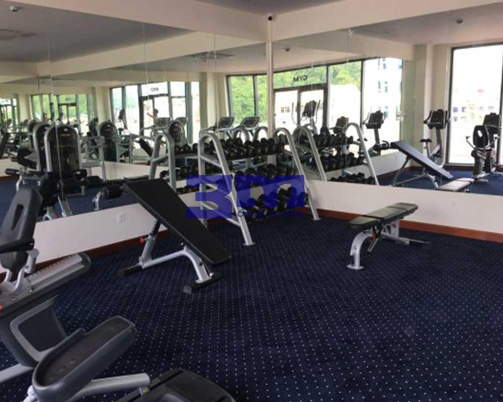 thảm se008 trải phòng gym